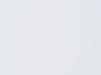 Photo of velvet paradise white