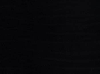 Photo of velvet paradise black