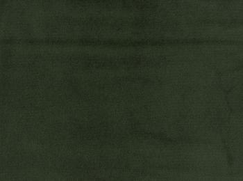 Photo of velvet paradise pine green