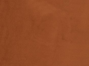 Photo of velvet paradise terracotta