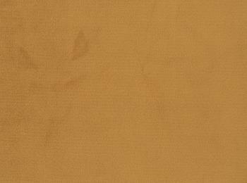 Photo of velvet paradise mustard