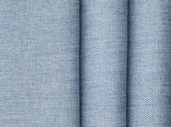 Photo of paralia l.blue