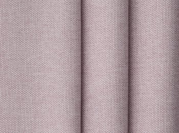 Photo of paralia pink