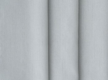 Photo of polite mint