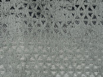 Photo of polytimon khaki