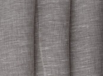 Photo of prefer elephant