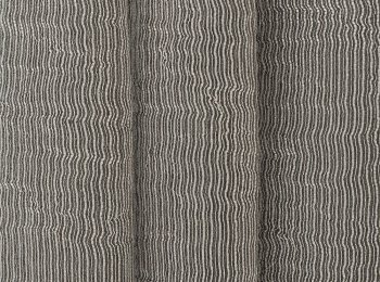 Photo of pretty elephant