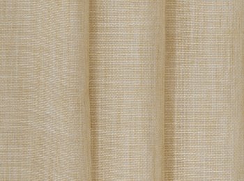 Photo of promise yellow