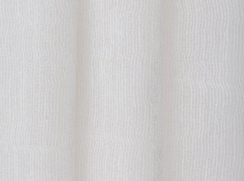 Photo of protagonist natur