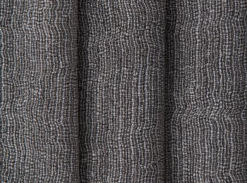 Photo of protagonist elephant