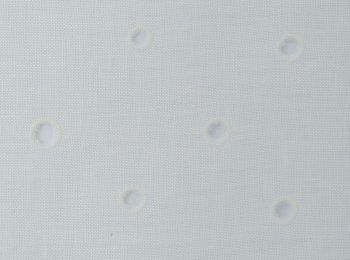 Photo of punctum natur