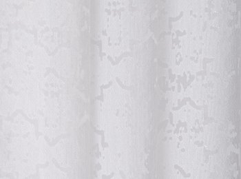 Photo of quiz off white