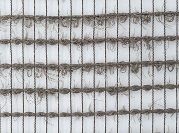 Photo of rebel elephant