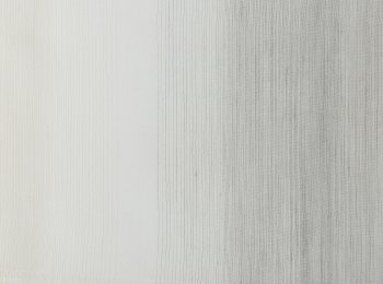 Photo of renaissance natur-grey