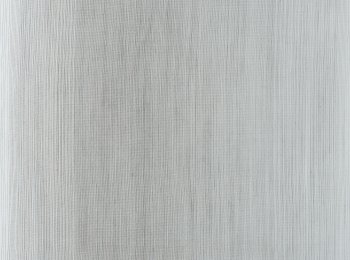 Photo of renaissance grey