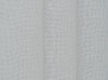 Photo of savanna white