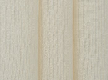 Photo of savanna natur