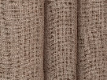 Photo of savanna chocolate