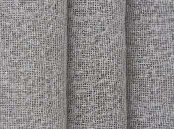 Photo of savanna grey