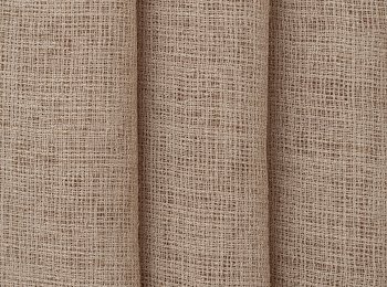 Photo of savanna camel