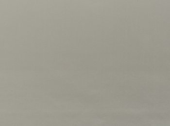 Photo of showtime dark beige