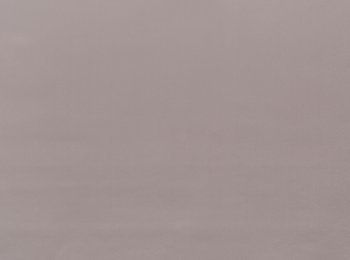 Photo of showtime pearl