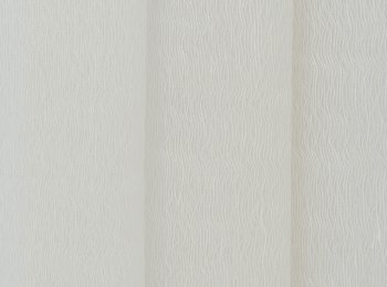 Photo of siempre natur