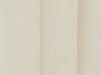 Photo of siempre ochre