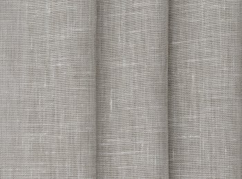 Photo of single l.olive