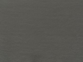 Photo of solid elephant