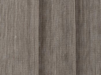 Photo of sonata brown