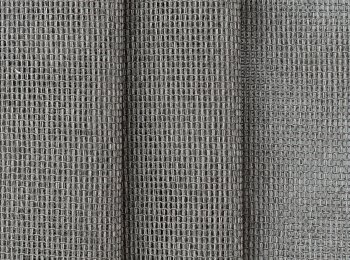 Photo of sonic elephant