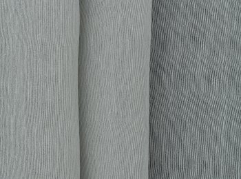 Photo of stabilis grey