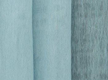 Photo of stabilis l.blue