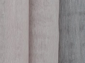 Photo of stabilis pink