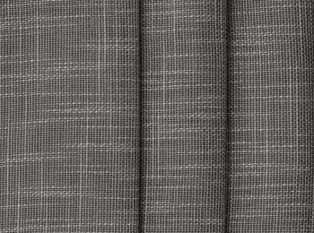 Photo of stay elephant