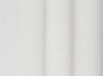 Photo of still natur