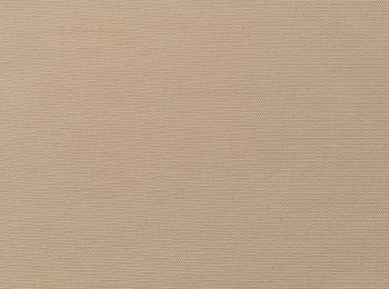 Photo of strong apricot