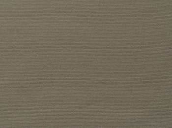 Photo of strong olive