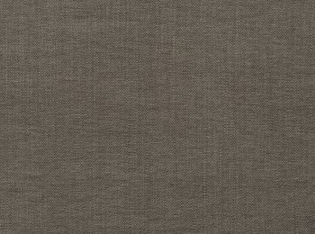 Photo of success brown