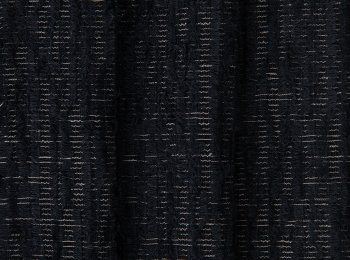 Photo of surprise black