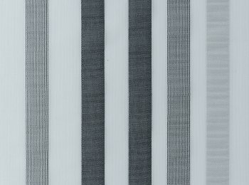 Photo of susurrous grey