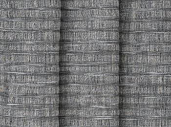 Photo of symmetry d.taupe