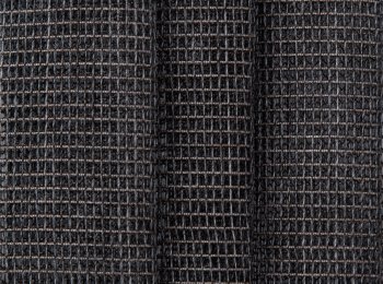 Photo of tempo wenge