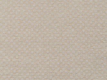 Photo of tetragon ochre