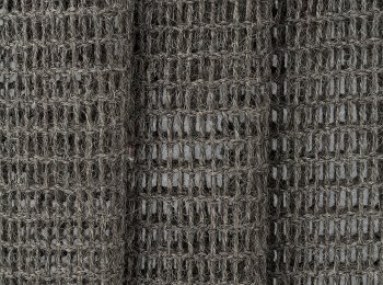 Photo of textus elephant