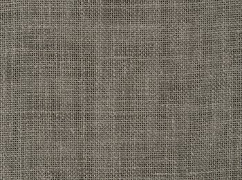 Photo of theretro olive