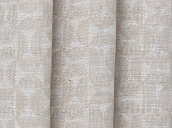 Photo of timeless natur