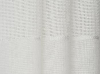 Photo of timeline natur