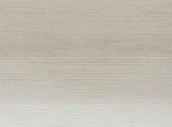 Photo of tinter beige